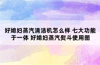 好媳妇蒸汽清洁机怎么样 七大功能于一体 好媳妇蒸汽熨斗使用图